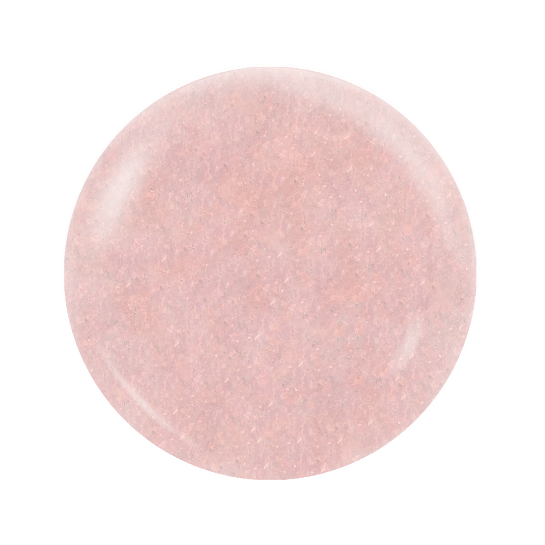 OG 196 - Notpolish Pull Up - EMOI SUPPLY