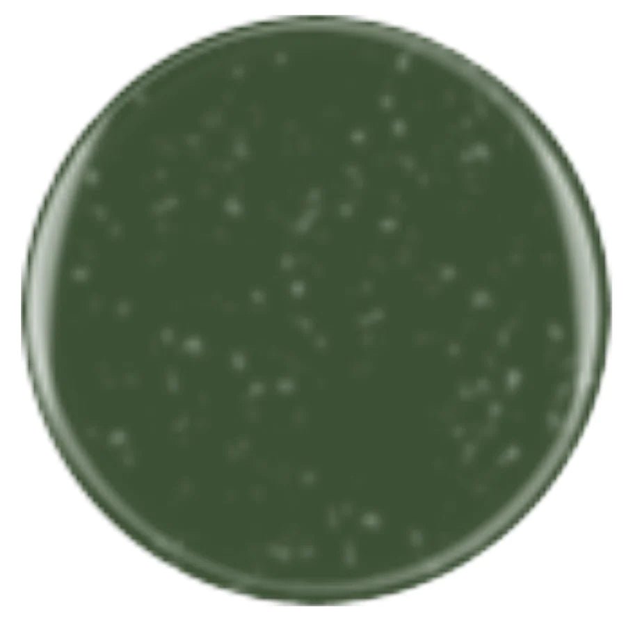 DIVA 113 - King Khaki - EMOI SUPPLY