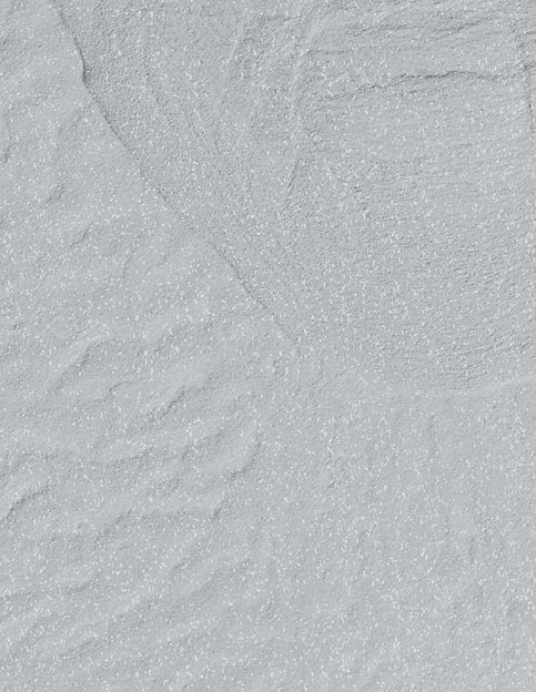 OPI Powder - OPI Nails the Runway - EMOI SUPPLY