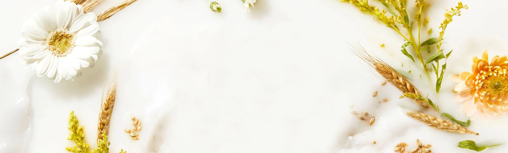 Hand & Body Lotions - EMOI SUPPLY