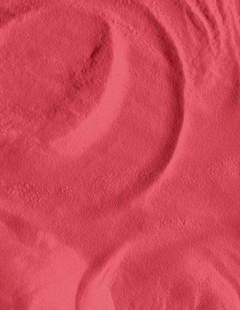 OPI Powder - My Chihuahua Bites! - EMOI SUPPLY